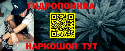 индика Анапа
