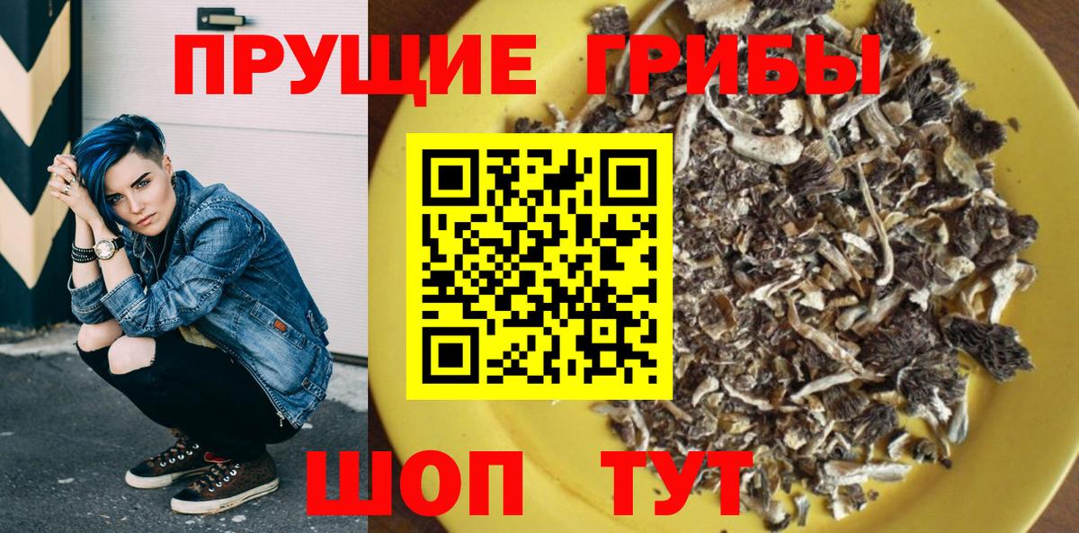 Псилоцибиновые грибы GOLDEN TEACHER Знаменск