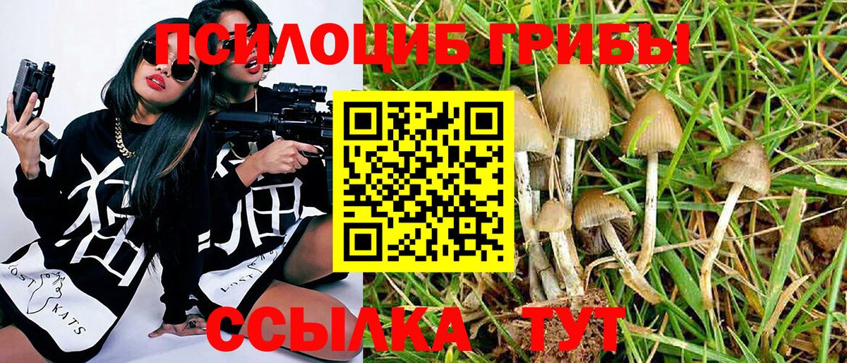 Знаменск  Галлюциногенные грибы ЛСД  Вход с VPN  дарнет шоп  Псилоцибиновые грибы Magic Shrooms 